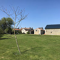 Main house and barn with walnut tree