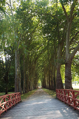 Richelieu Park bridge